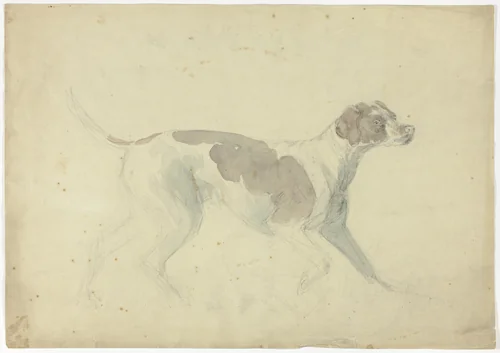 Fox Hound (recto); Sketches of Horse and Rider (verso) by Sawrey Gilpin, painting, 1753-1807