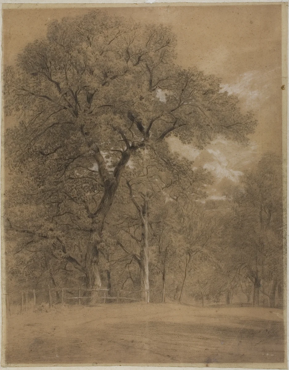 Edge of a Forest by Constant Troyon, drawing, 1830-1865