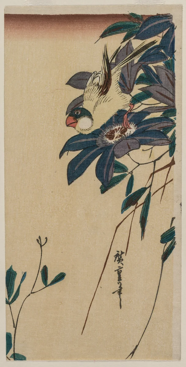 Grosbeak and Clematis by Utagawa Hiroshige (歌川広重), print, 1834-1836