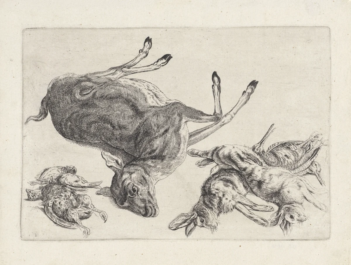Geschoten wild: een dood hert, hazen en vogels by Wenceslaus Hollar, print, 1646-1647