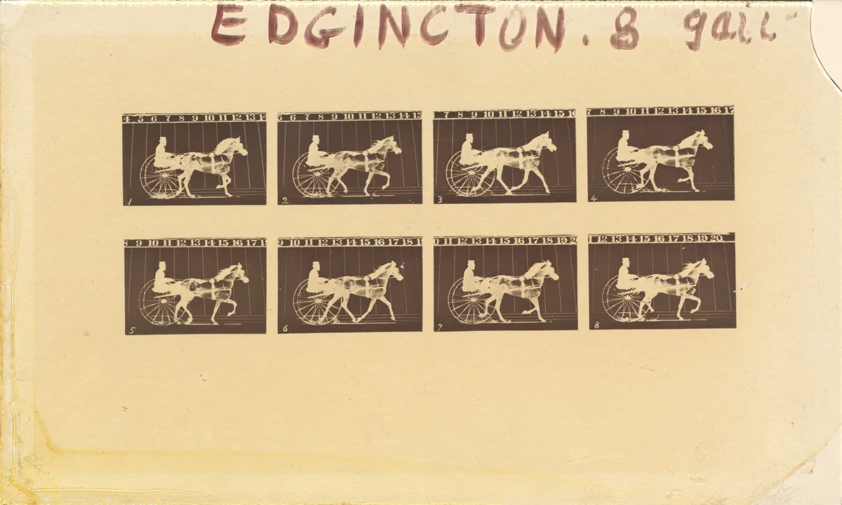 Internegative for Horses. Trotting. Abe Edgington. No. 28 by Eadweard Muybridge, photograph, 1878