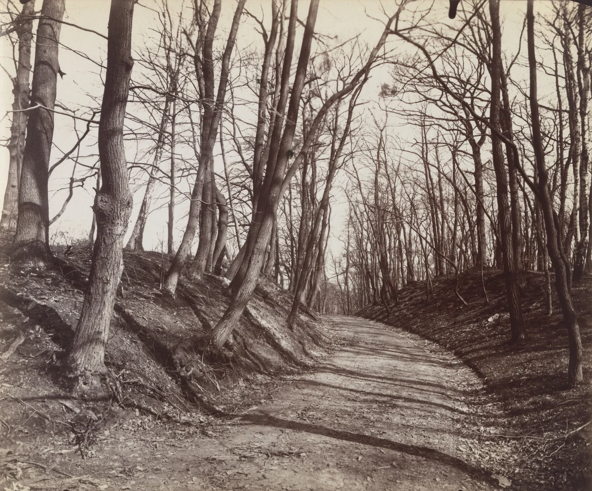 Parc de Saint-Cloud by Eugène Atget, photograph, 1923