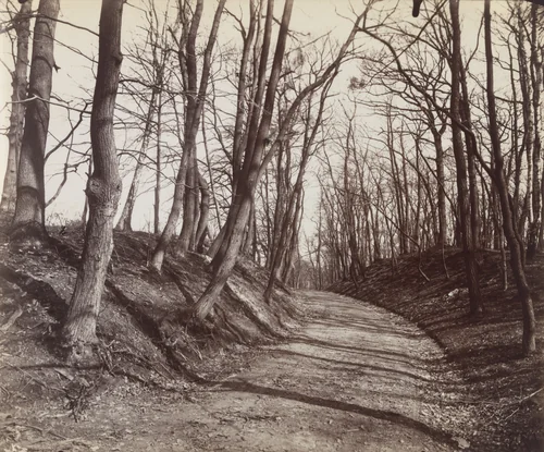 Parc de Saint-Cloud by Eugène Atget, photograph, 1923