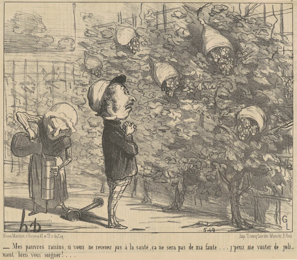 Mes pauvres raisons, si vous ne revenez pas à la sauté... by Honoré Daumier, print, 1853