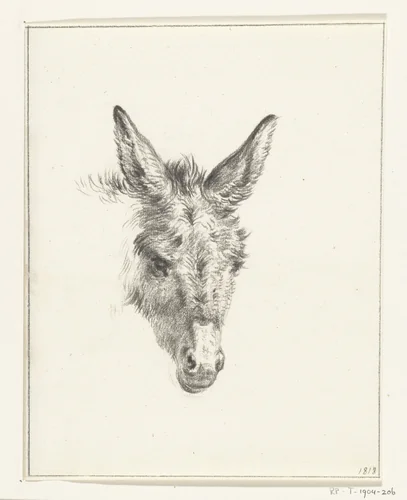 Kop van een ezel, van voren by Jean Bernard, drawing, 1818