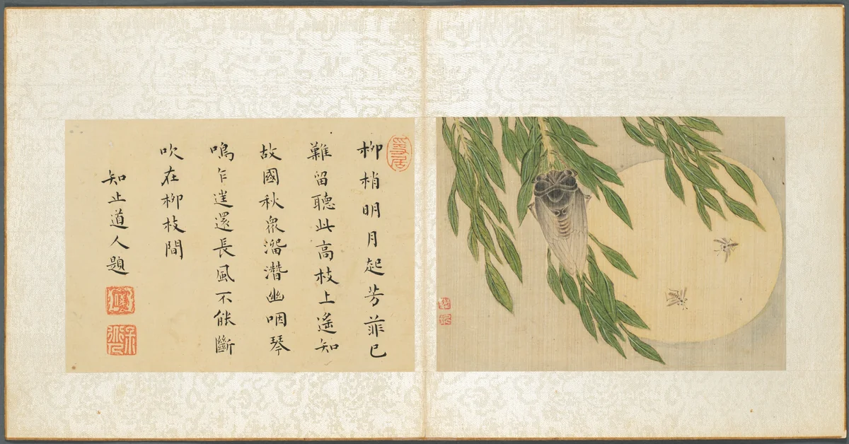 Album of Miscellaneous Subjects, Leaf 6 by Fan Qi, painting, 1650-1655