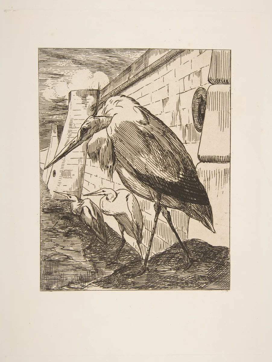 Les Cigognes by Félix Bracquemond, print, 1865-1877