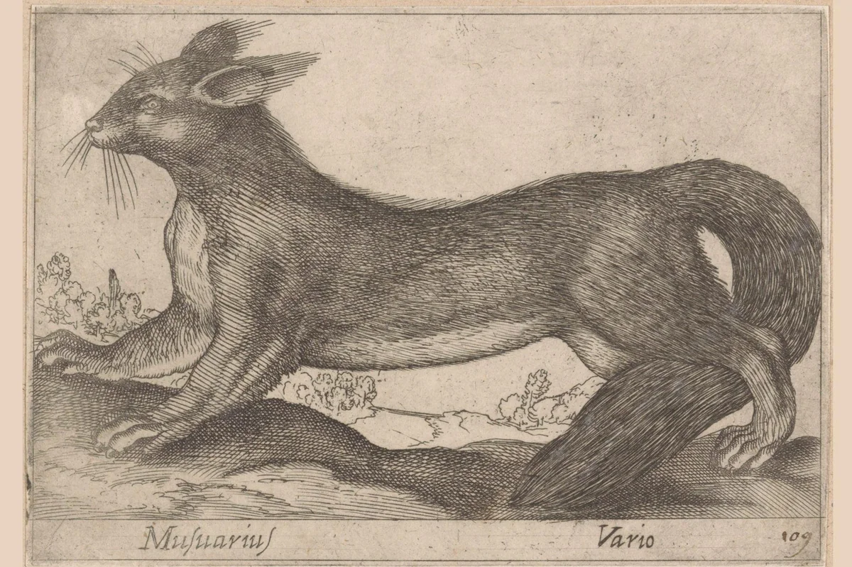 Fretachtige by Antonio Tempesta, print, 1565-1630