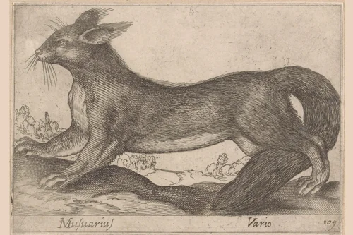 Fretachtige by Antonio Tempesta, print, 1565-1630