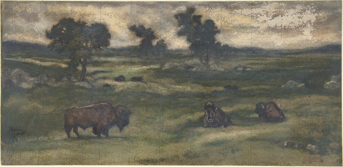 Group of Bison by Antoine-Louis Barye, drawing, 1810-1875