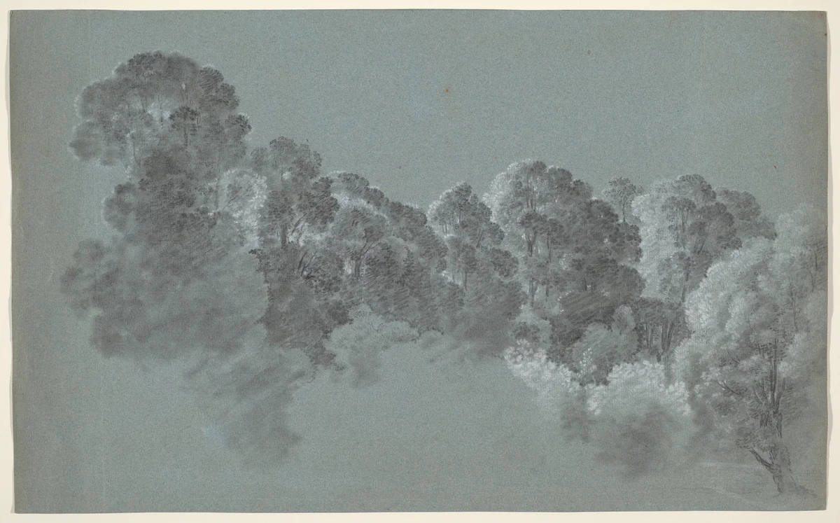 Forest Treetops Struck by Light by Heinrich Rieter, drawing, 1795-1805