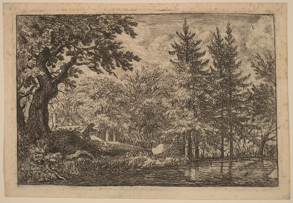 Fir Trees at the Water by Allart van Everdingen, print, 1645-1656