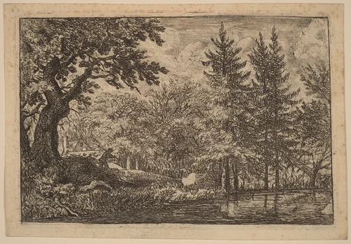 Fir Trees at the Water by Allart van Everdingen, print, 1645-1656