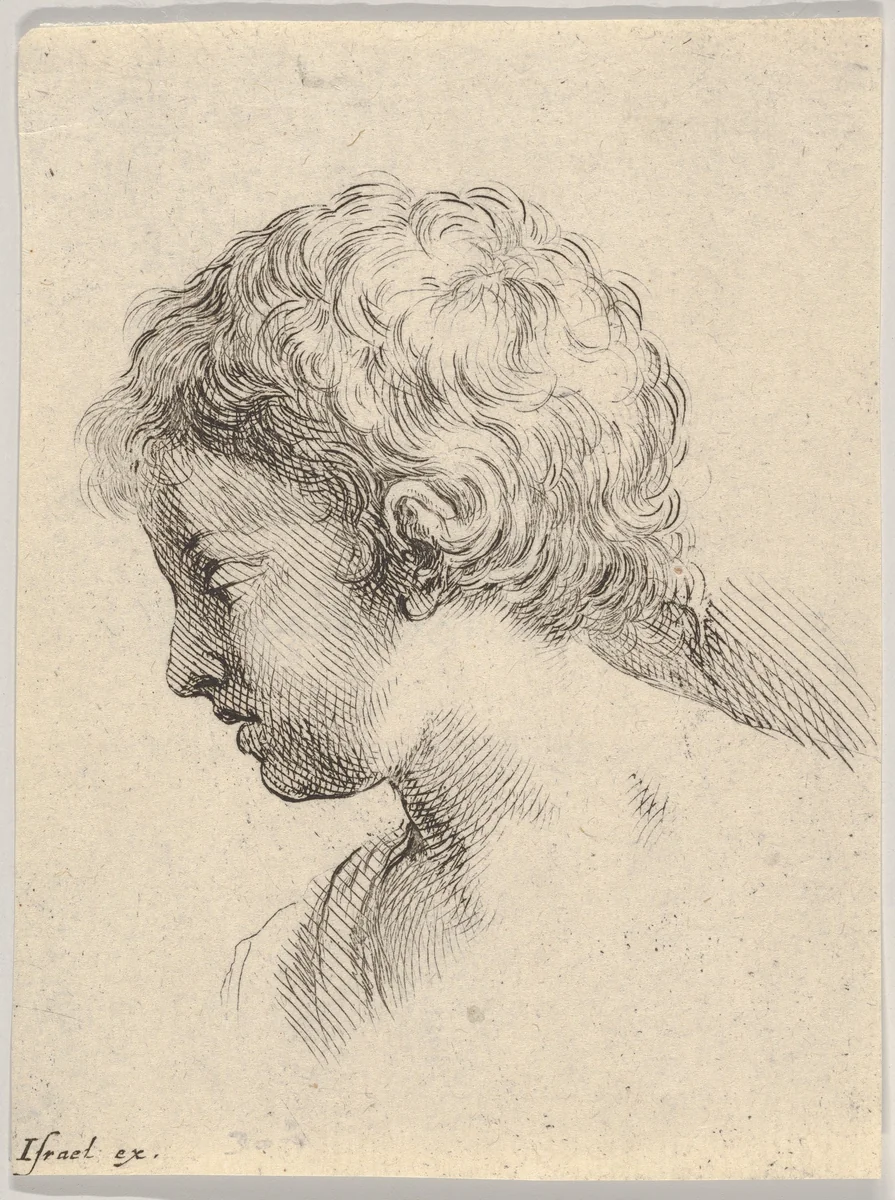 Plate 13: Head of a young boy, in profile, from "The Book for Learning to Draw" (Livre pour apprendre à dessiner) by Stefano della Bella, print, 1647-1652