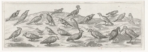 Landschap met verschillende soorten vogels. by Simon Frisius, print, 1609-1610