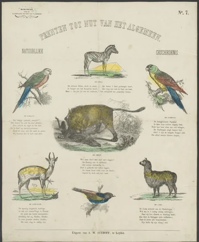 Vogels en zoogdieren by anonymous, print, 1851-1929