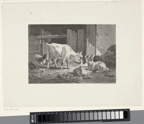 Geit met twee konijnen en een kip by Gerard Jan Bos, print, 1835-1898