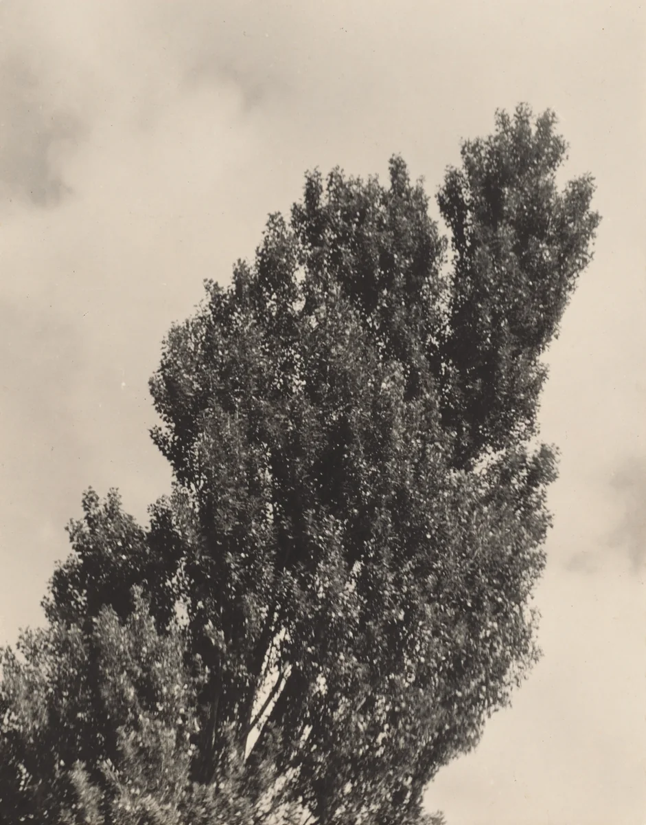 Equivalent by Alfred Stieglitz, photograph, 1925-1927