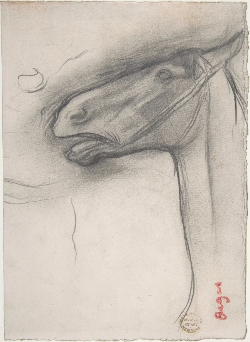 Head of a Horse by Edgar Degas, drawing, 1873-1883