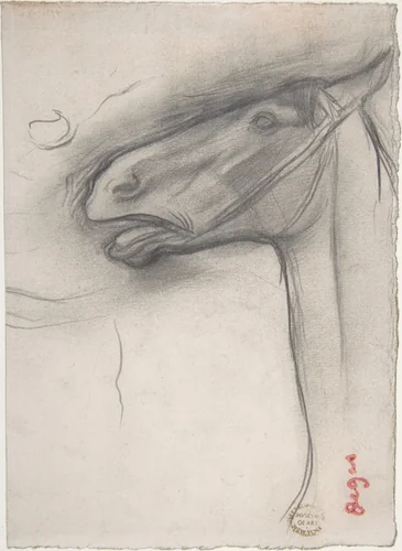 Head of a Horse by Edgar Degas, drawing, 1873-1883