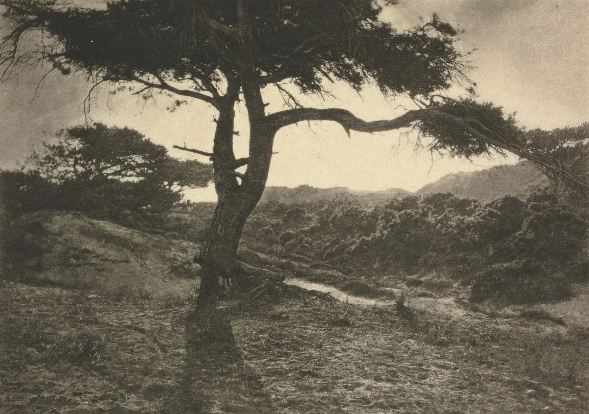 Camera Work: The Long Arm by George Davison, book, 1907