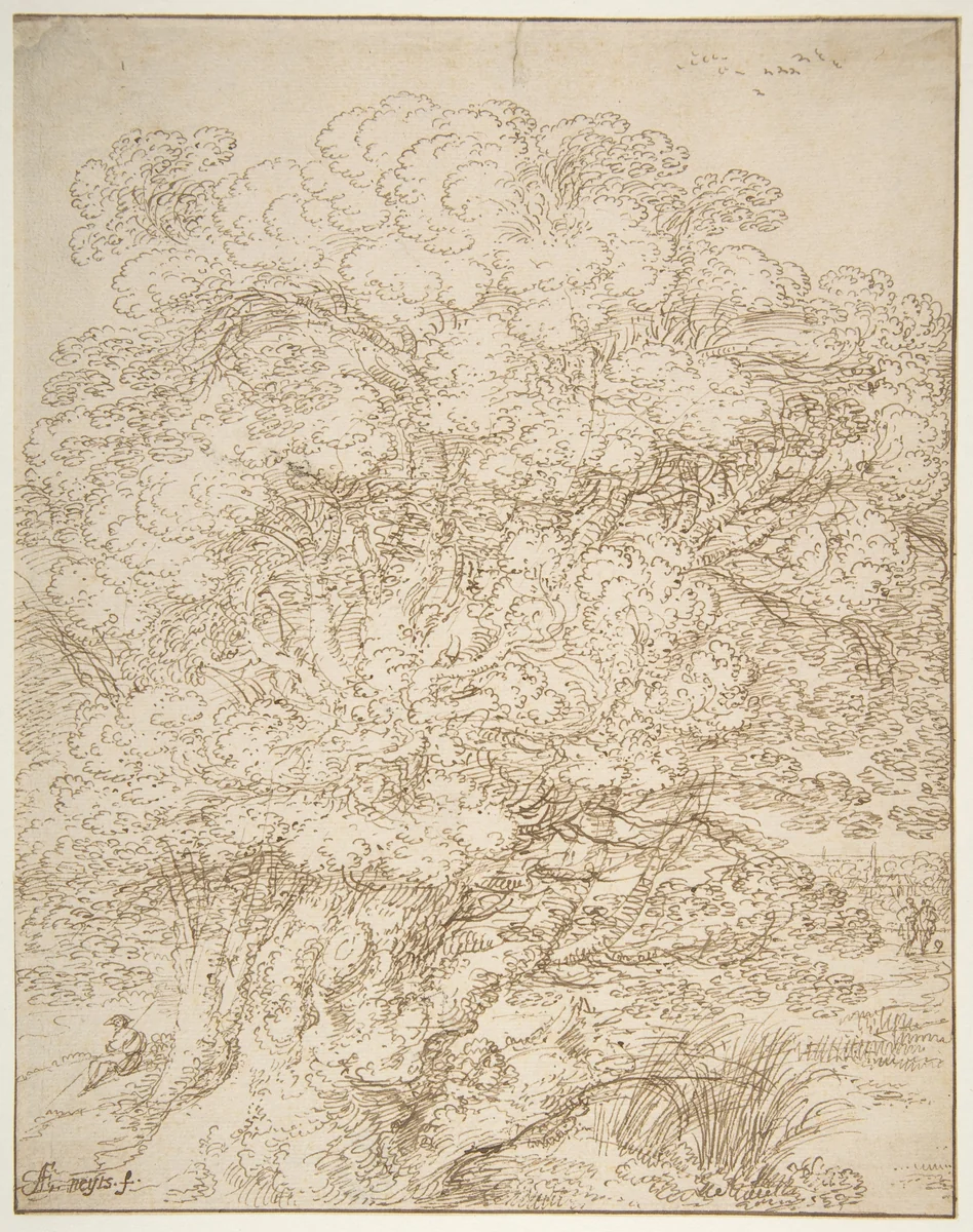 Study of an Old Tree by Gillis Neyts, drawing, 1635-1687
