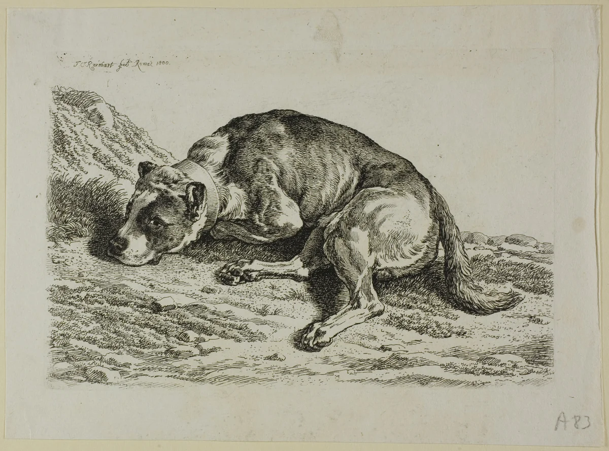 Dog Laying Down, from from Die Zweite Thierfolge by Johann Christian Reinhart, print, 1799-1803