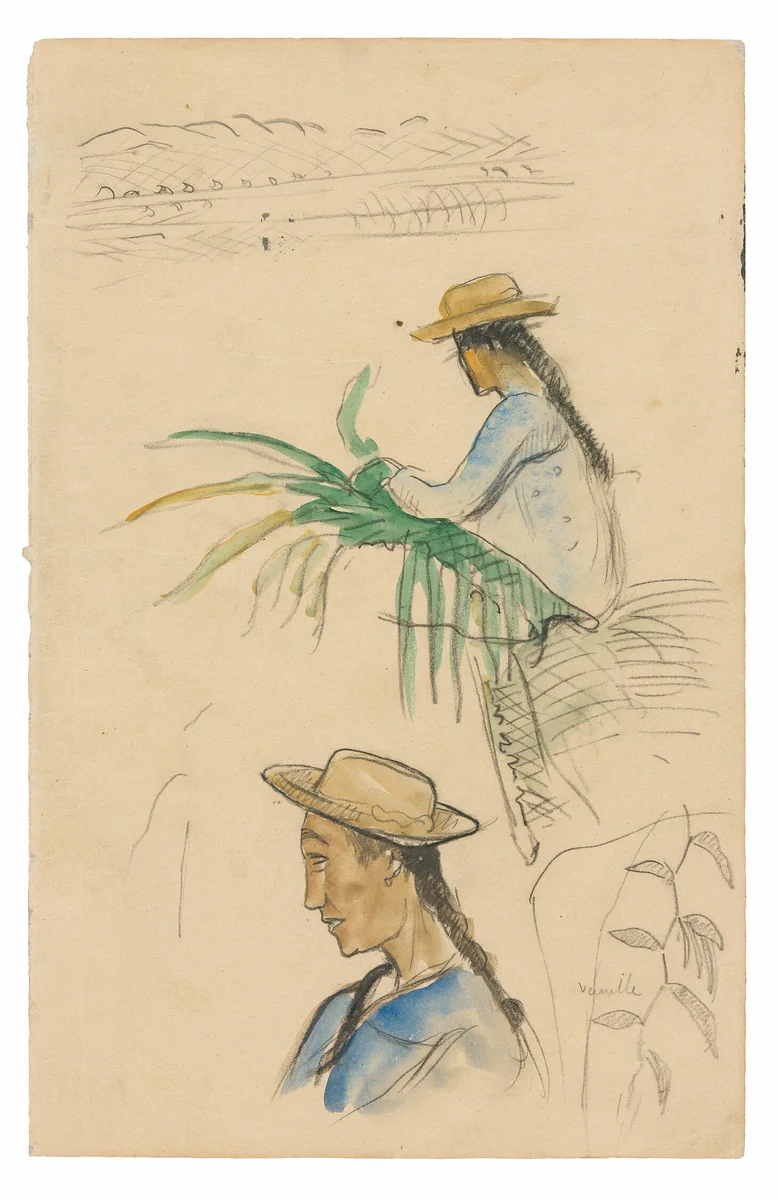 Sketches of Figures, Pandanus Leaf, and Vanilla Plant by Paul Gauguin, painting, 1891-1893