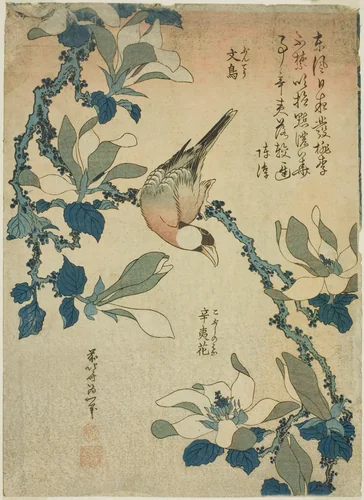 Paddy Bird and Magnolia Flowers (Buncho, kobushi no hana), from an untitled series of flowers and birds by Katsushika Hokusai (葛飾 北斎), print, 1829-1839