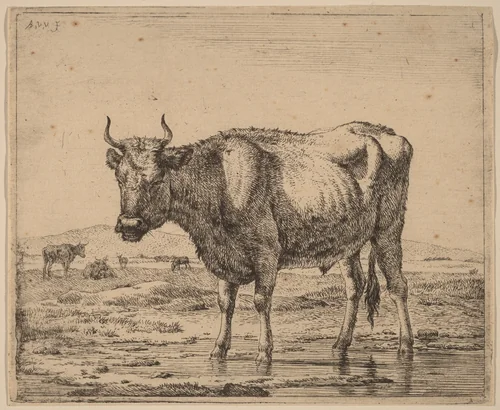Bull Standing in Water by Adriaen van de Velde, print, 1657-1659