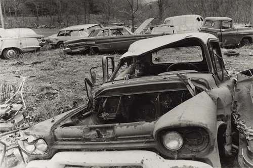 Fat Sabatine, Martins Creek, Pennsylvania by Larry Fink, photograph, 1978
