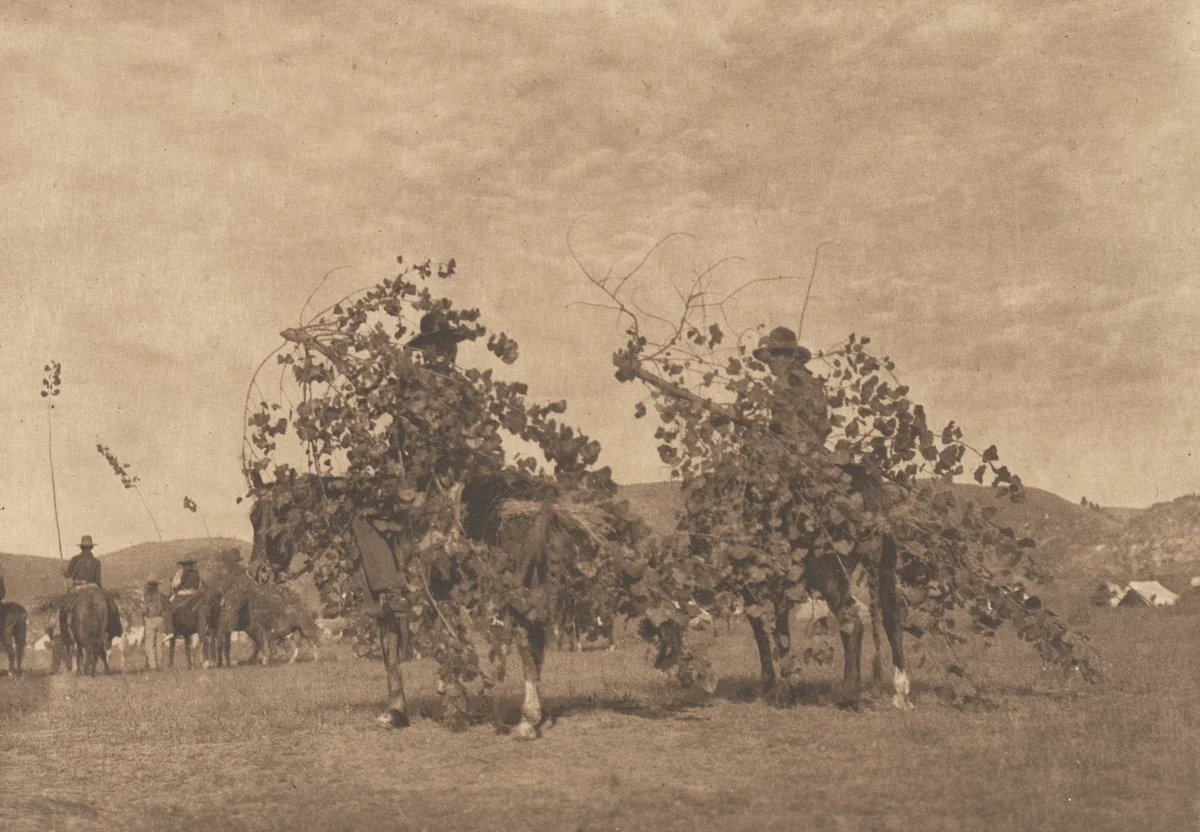 Boughs for the Alter, Cheyenne by Edward Curtis, photograph, 1911