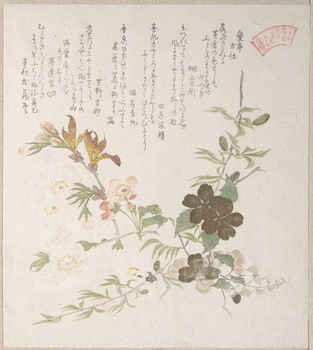 Cherry Blossoms and Yamabuki Flowers by Kubo Shunman (窪俊満), print, 1800-1899