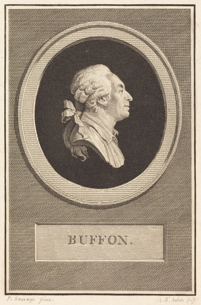 Buffon by Augustin de Saint-Aubin, print, 1798