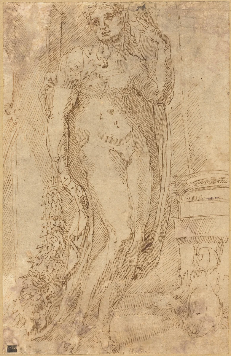 Allegorical Figure with a Cat and a Pig by Jacopo di Giovanni di Francesco, drawing, 1530