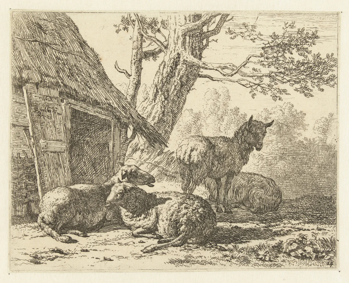 Vier schapen by Karel du Jardin, print, 1658