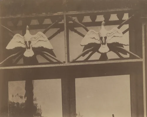 62 Rue de l'hotel de Ville by Eugène Atget, photograph, 1908