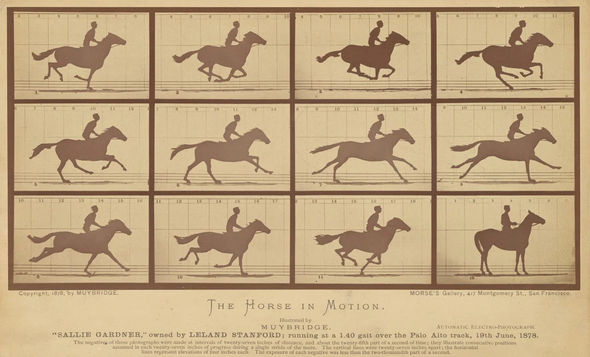The Horse in Motion by Eadweard Muybridge, photograph, 1878