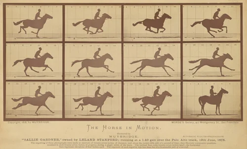 The Horse in Motion by Eadweard Muybridge, photograph, 1878