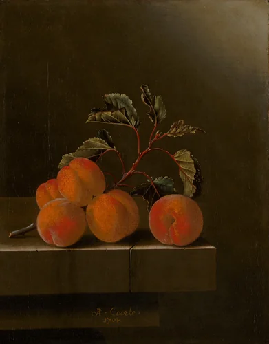 Still Life with Five Apricots by Adriaen Coorte, painting, 1704