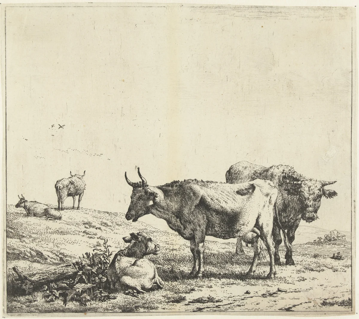 Koe, stier en een kalf by Karel du Jardin, print, 1652-1659