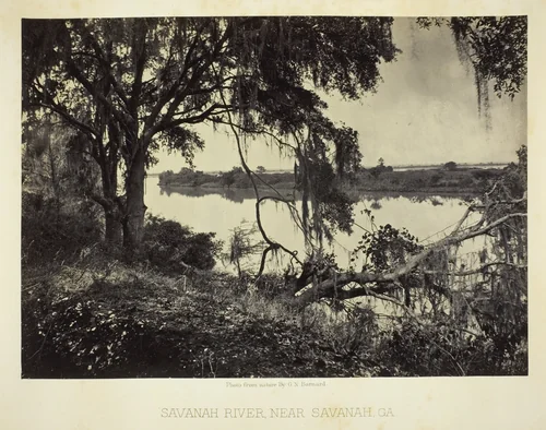 Savannah River, near Savannah, GA by George Barnard, photograph, 1866