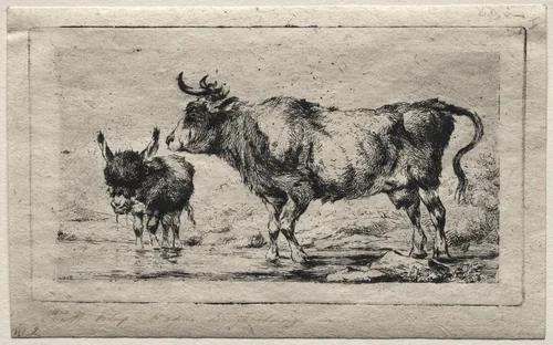 Cow and Ass by Charles Meryon, print, 1849