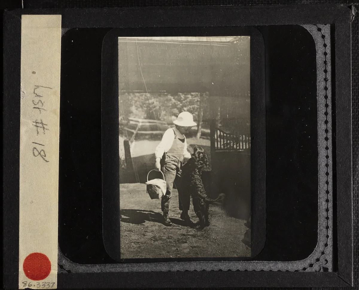 Untitled (Niece Elizabeth with "Inky" at Oaklawn) by Alfred Stieglitz, other, 1898-1908