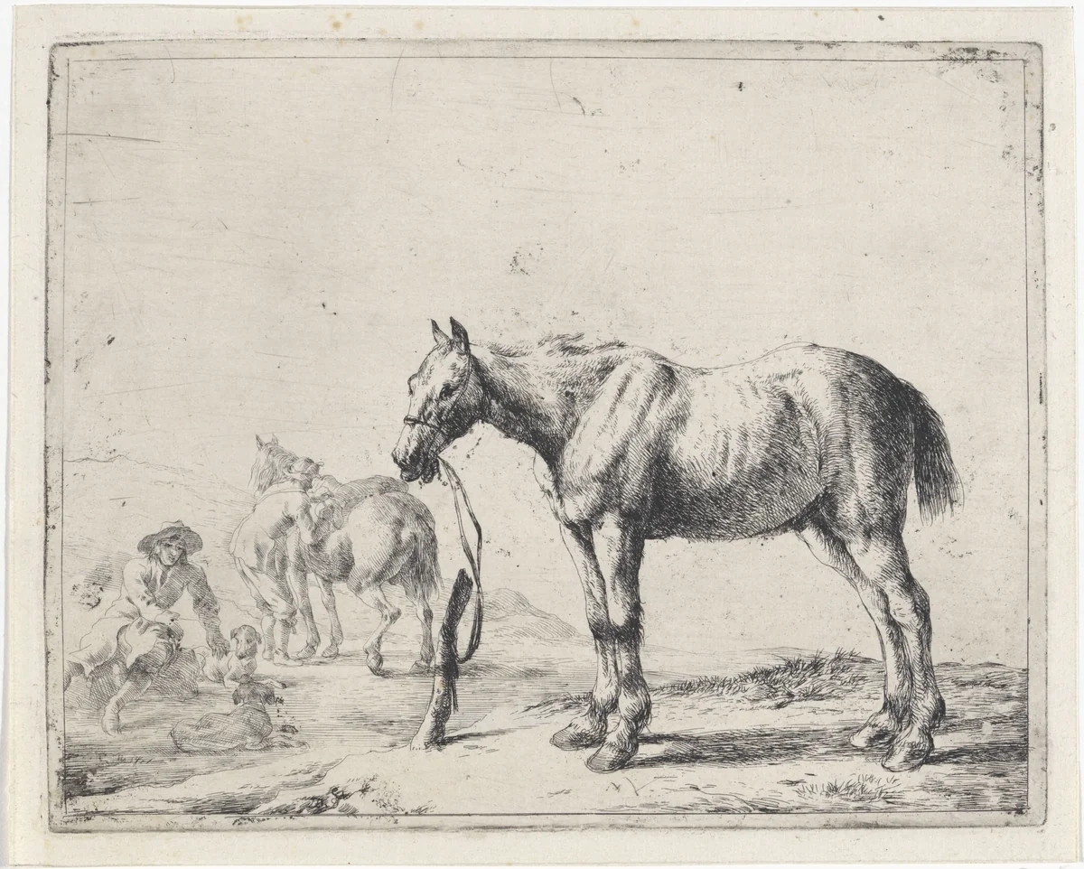 Aan een paal gebonden paard naar links by Dirk Stoop, print, 1651