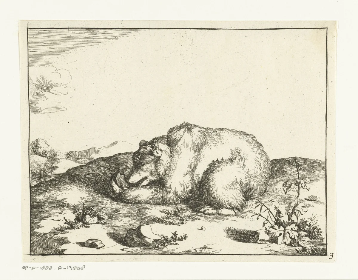Liggende beer, iets etend uit zijn linker poot by Marcus de Bye, print, 1664