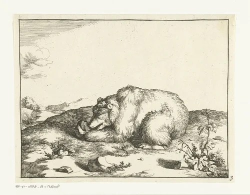 Liggende beer, iets etend uit zijn linker poot by Marcus de Bye, print, 1664