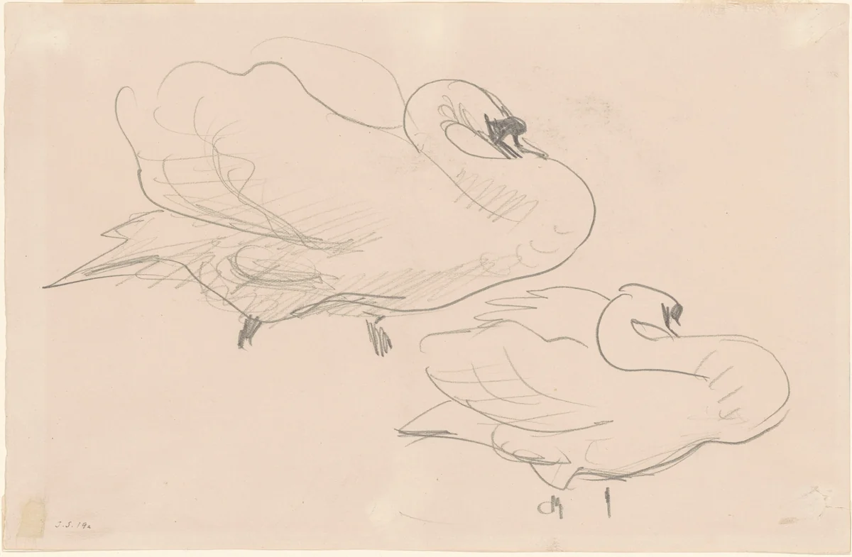 Studies of a Swan by John Singer Sargent, drawing, 1880-1900