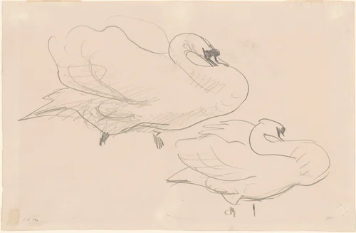 Studies of a Swan by John Singer Sargent, drawing, 1880-1900