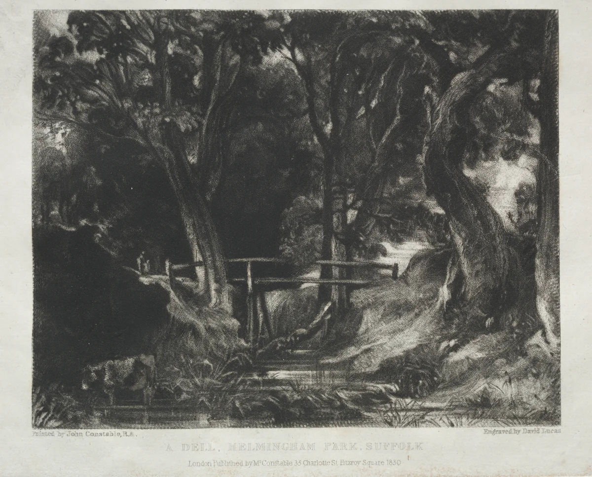 Various Subjects of Landscape, Characteristic of English Scenery from Pictures Painted by John Constable, R.A.: Dell in the Woods of Helmingham Park, Suffolk by David Lucas, print, 1830